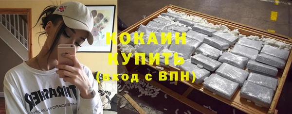 прущая мука Пересвет