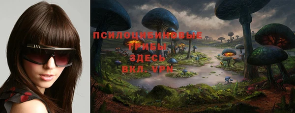 сатива Пестово