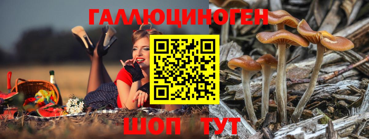 Кинешма  Псилоцибиновые грибы мухоморы  Вход с VPN 